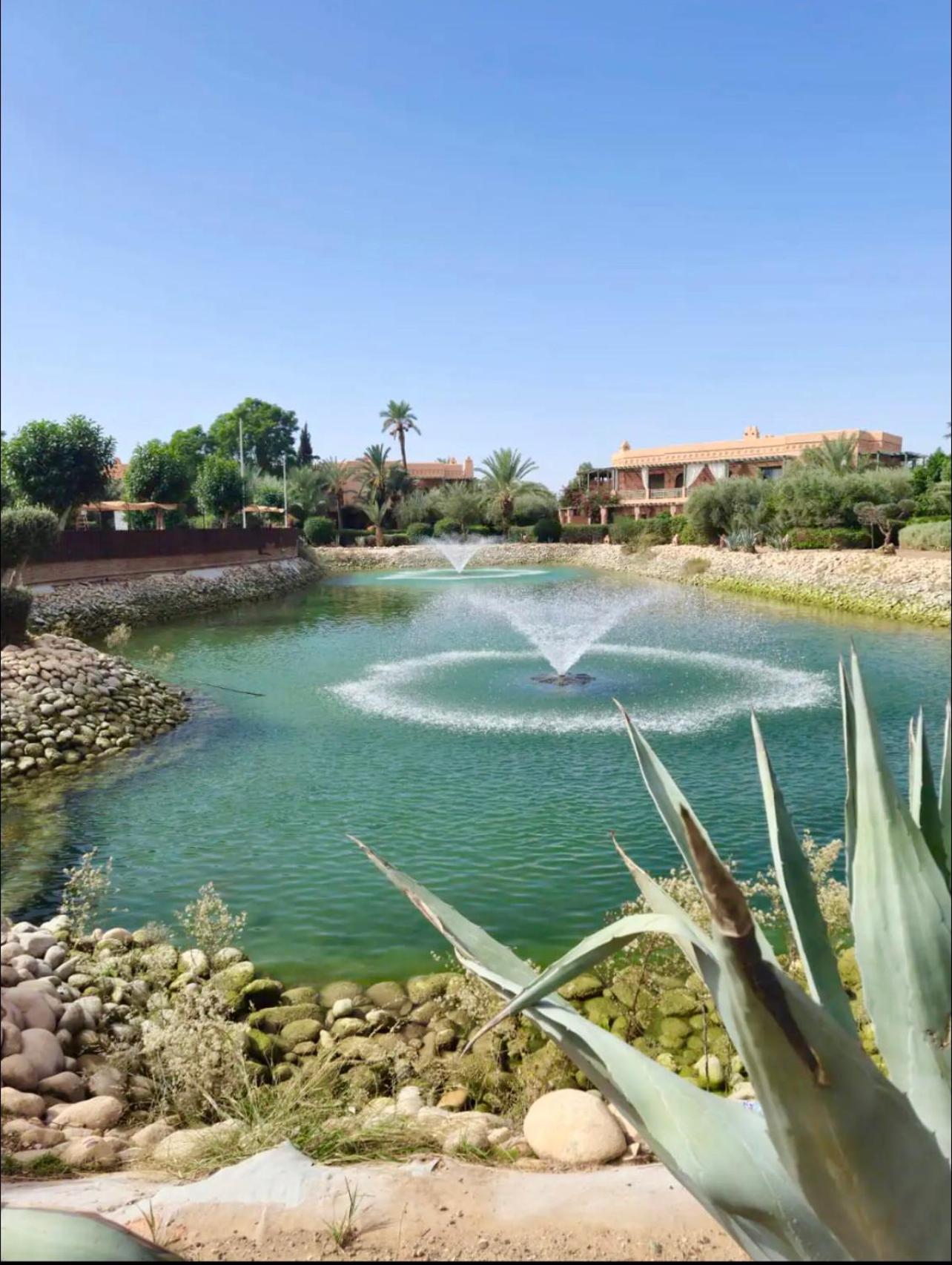 Appartement Palm Spot Marrakesh