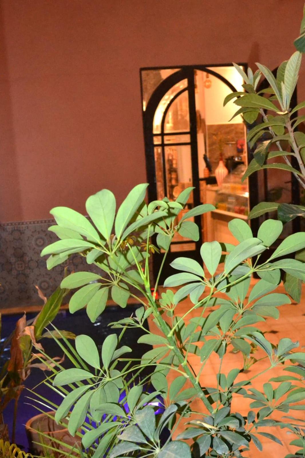 Bed & Breakfast The Old House Marrakesh