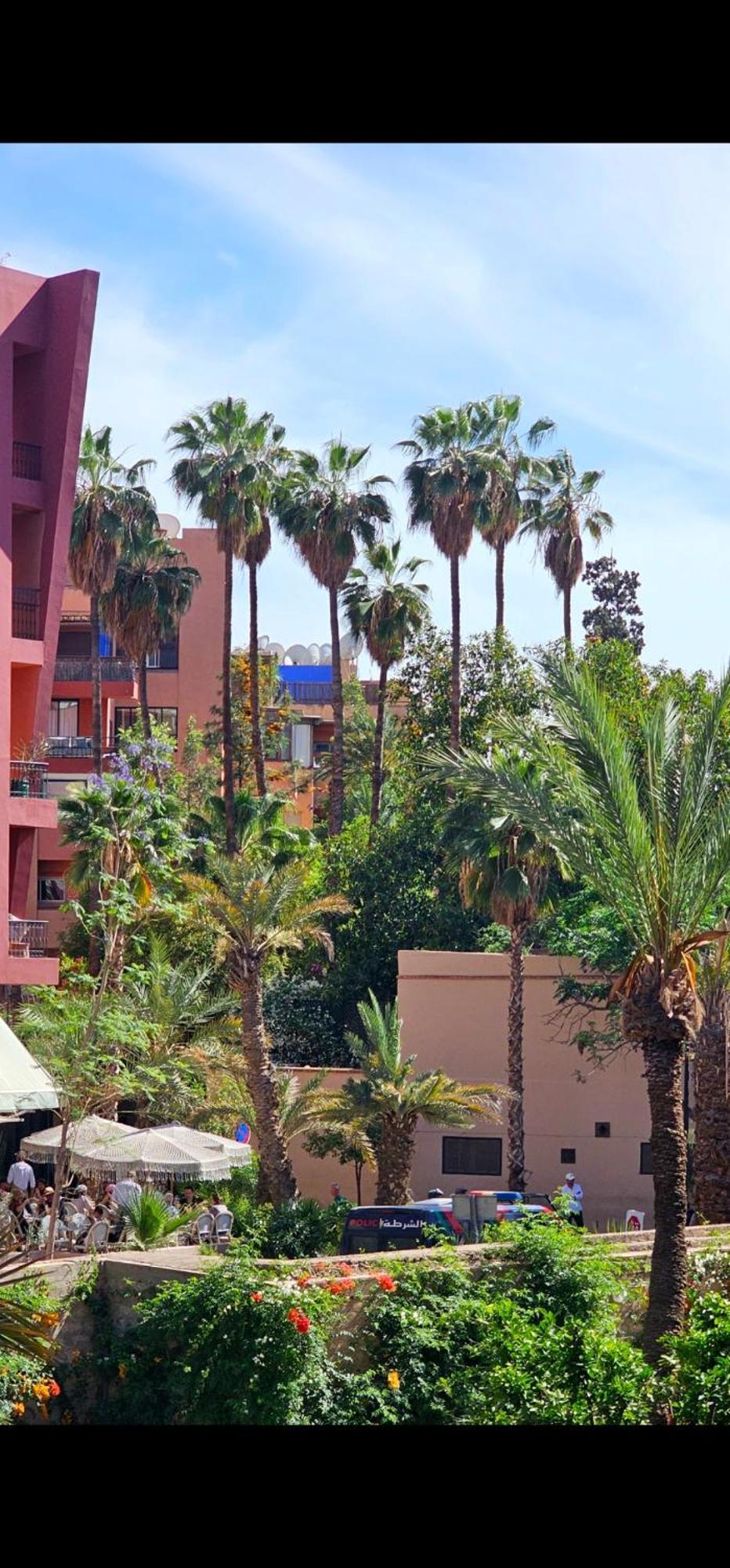Appartement Magnifique Face Au Jardin Majorelle *