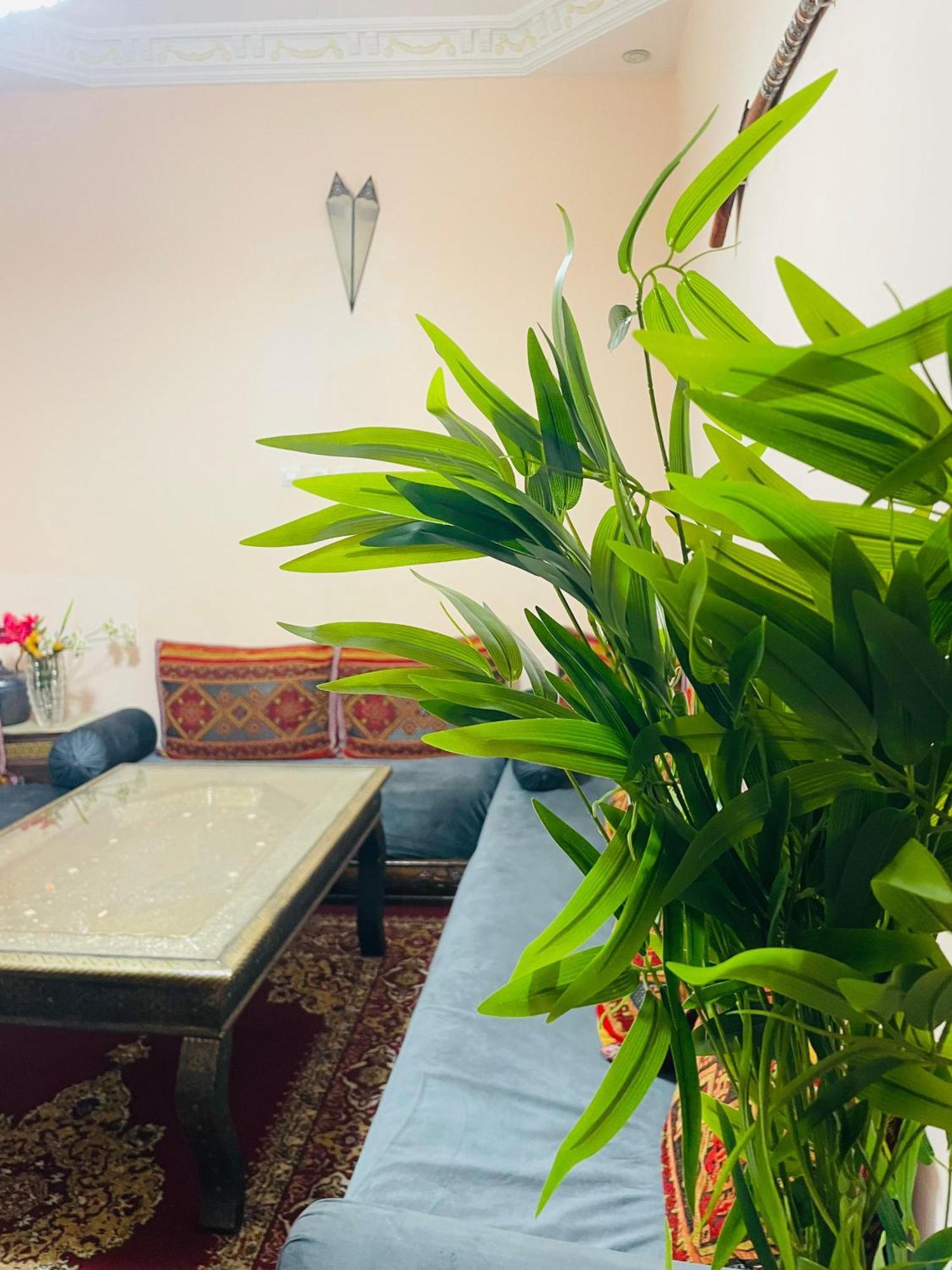 Ms Holidays Terrasse Privatise Marrakech * Marrakesch