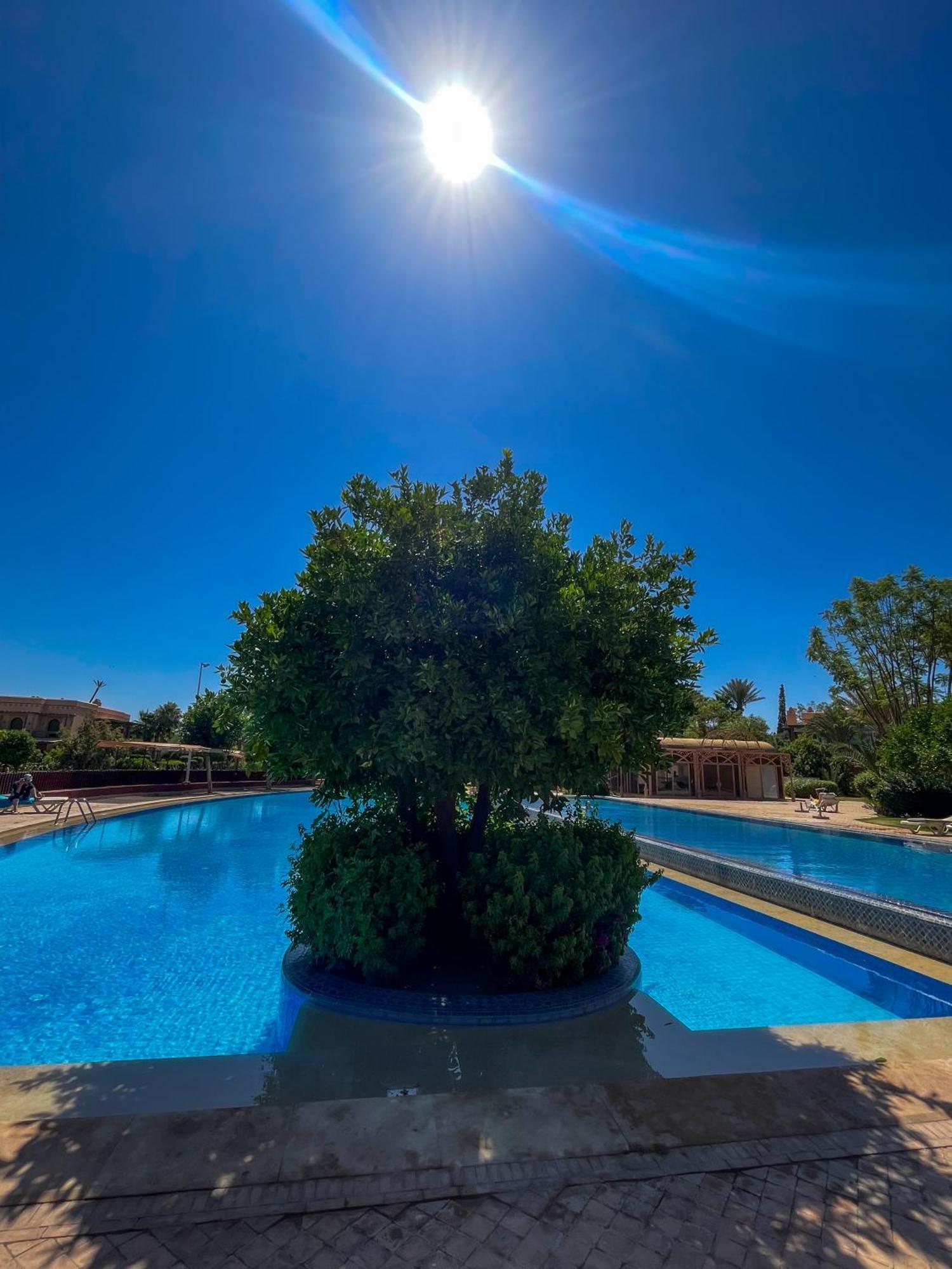Au Coeur De La Palmeraie De Marrakech Apartment *