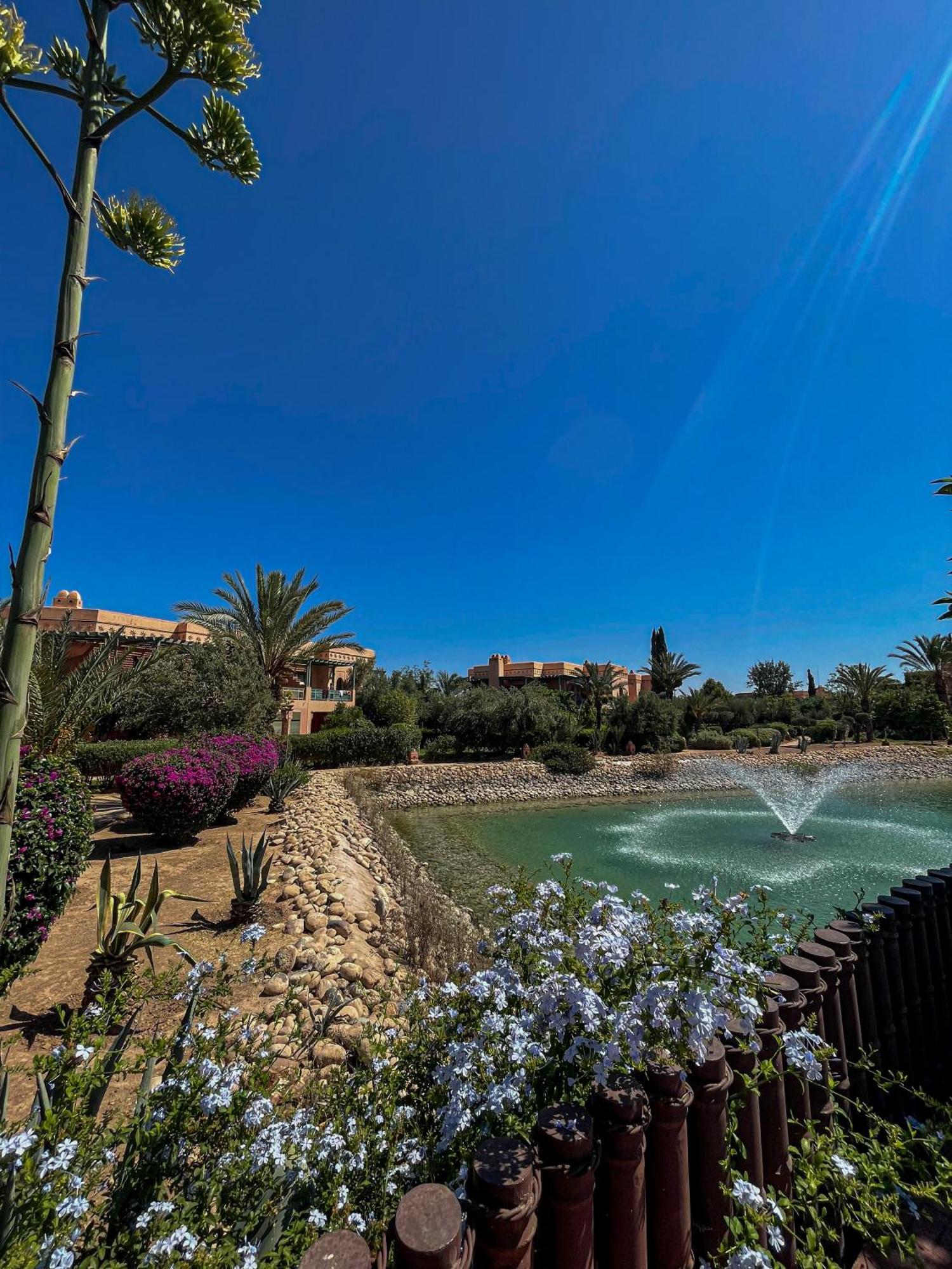 Au Coeur De La Palmeraie De Marrakech Apartment Marrakesh