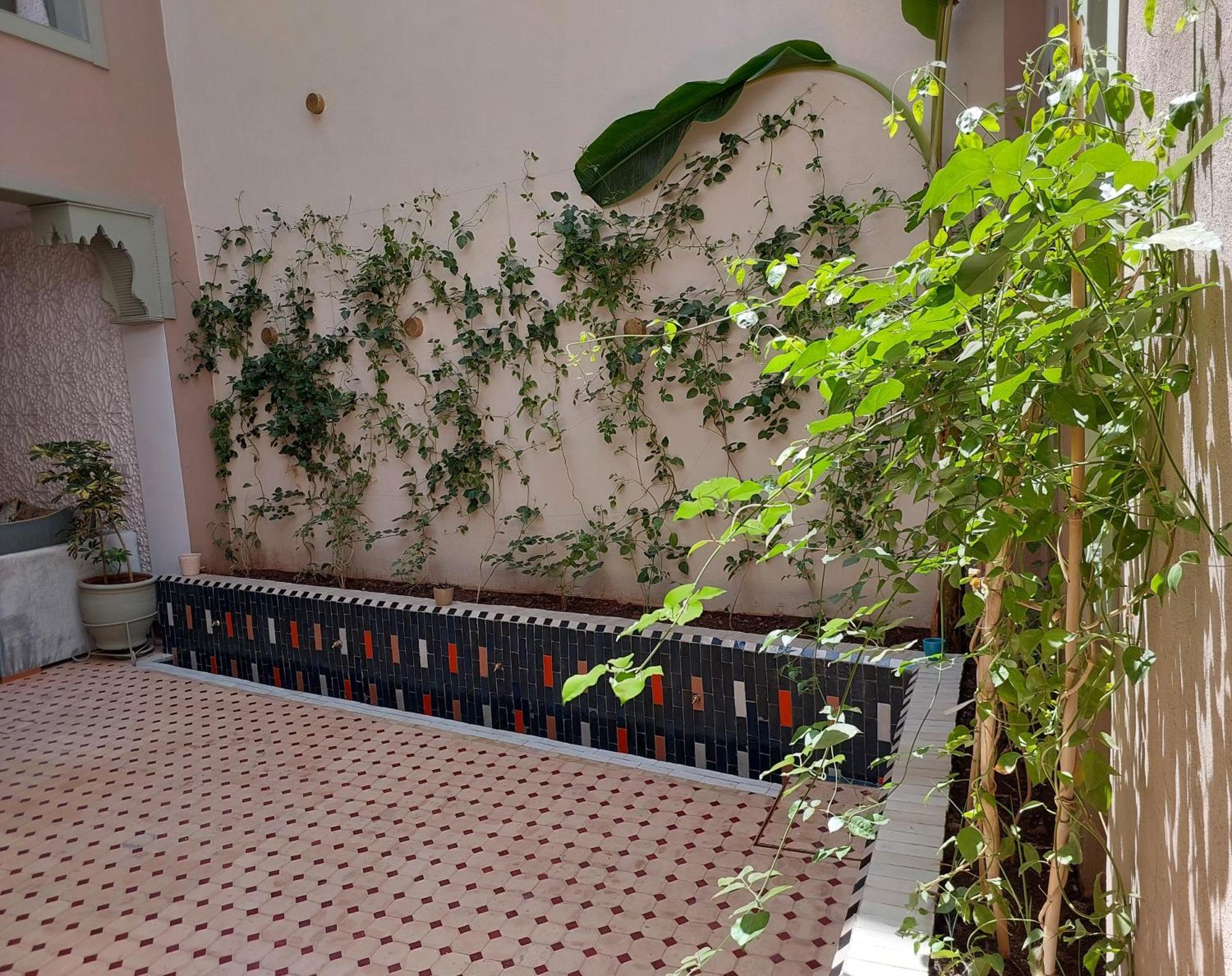 26 Riad