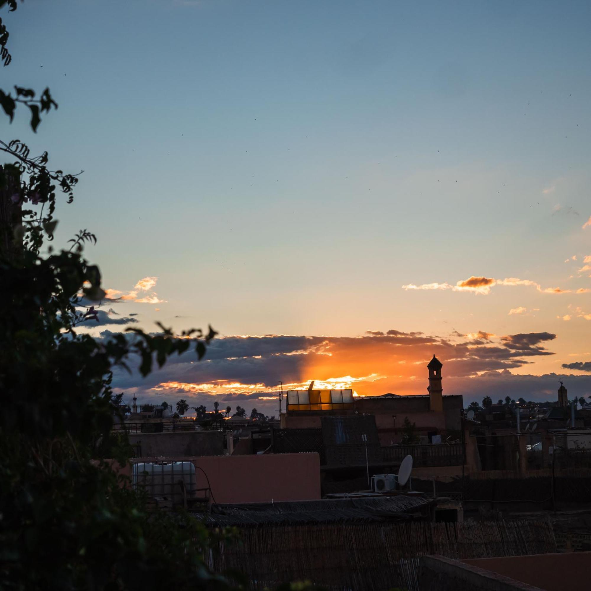 Zagouda Riad