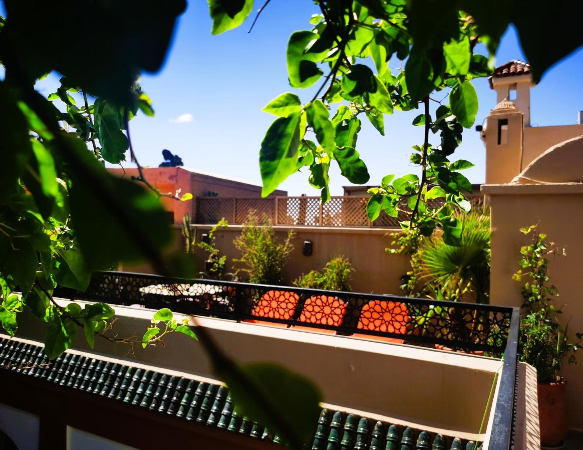 Zagouda Riad 3*
