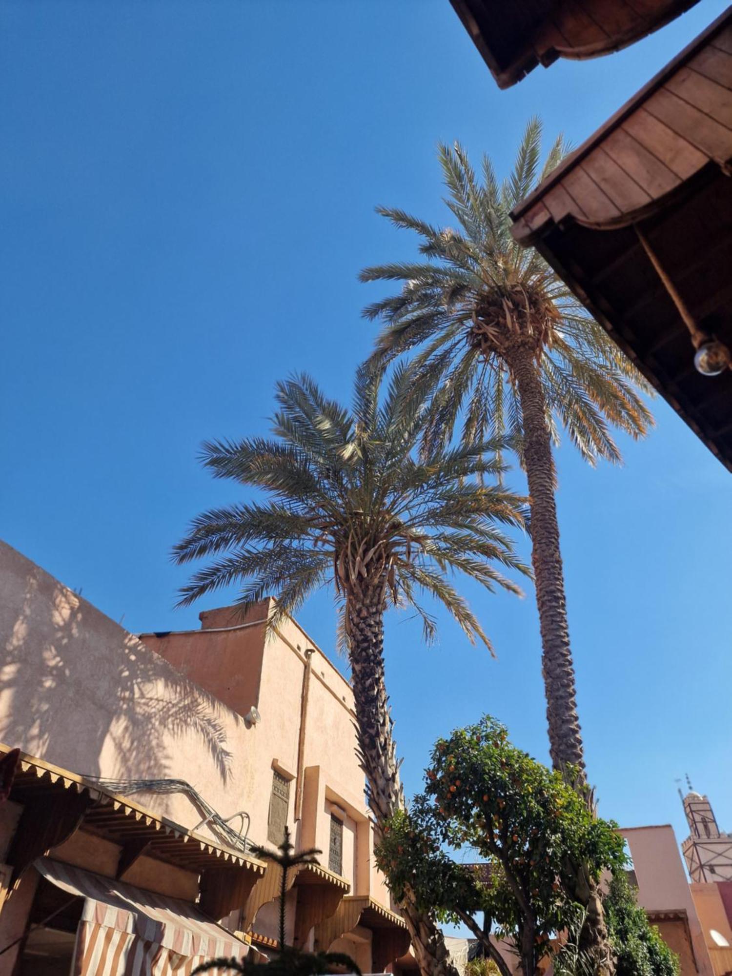 Dar El Mahja Bed & Breakfast Marrakesh