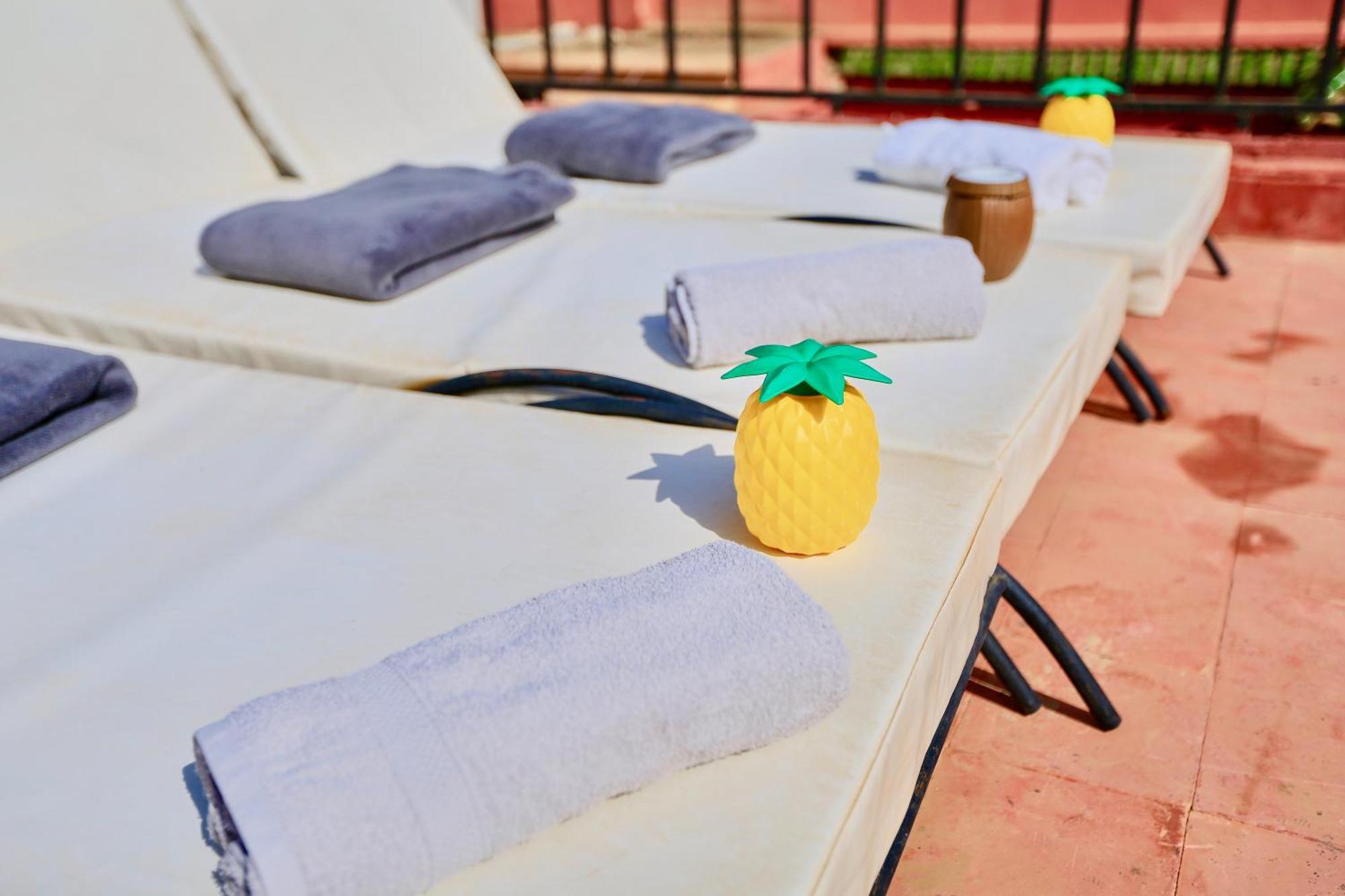 Full Pool Terrasse Alqaria Assiyahiya Marrakesh