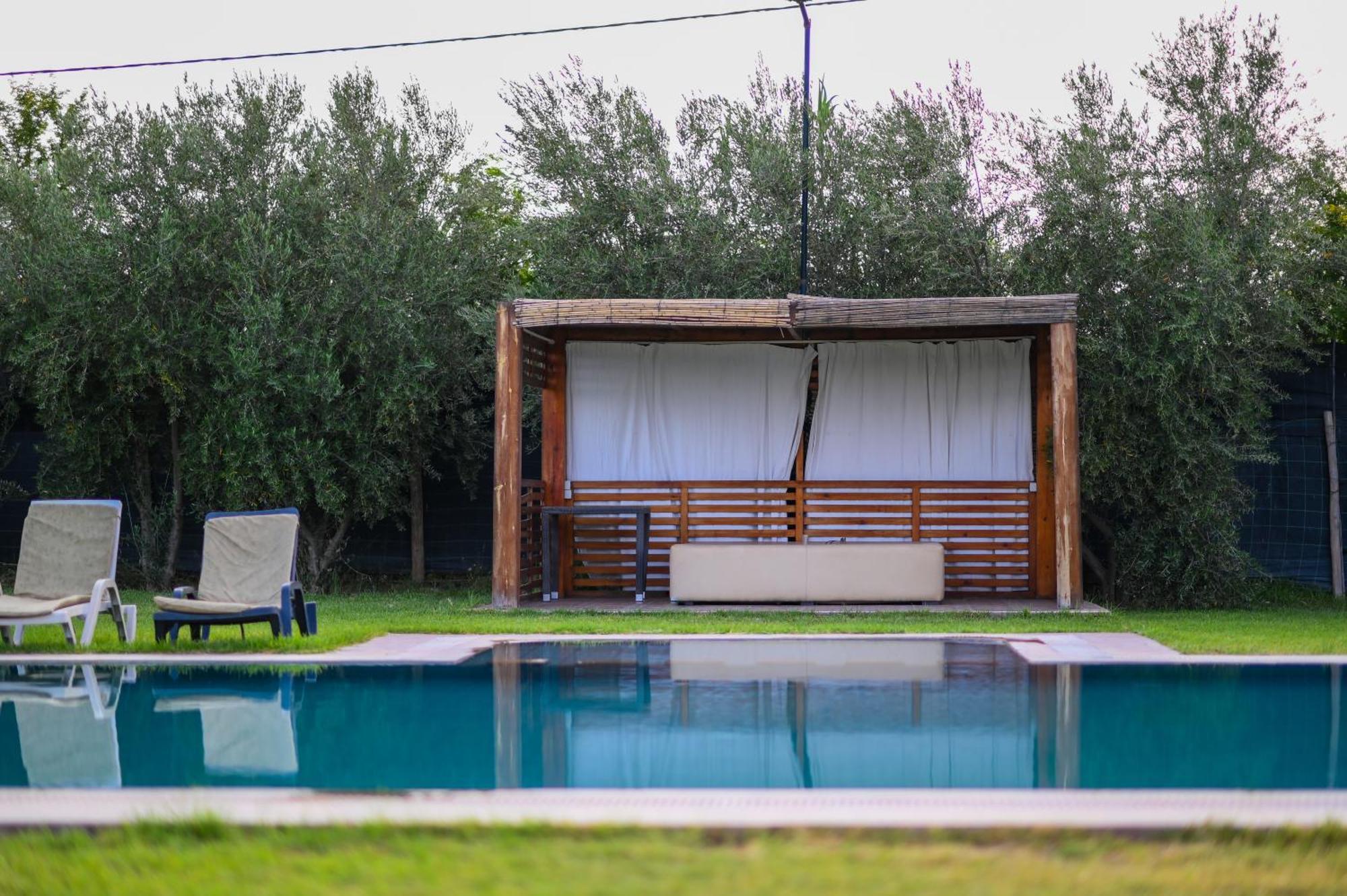 Olea & Villa