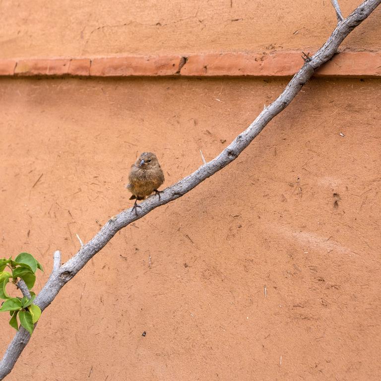Jnane Mogador Marrakesh
