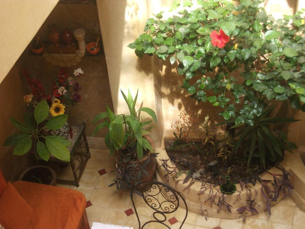 Riad Dar Othmane