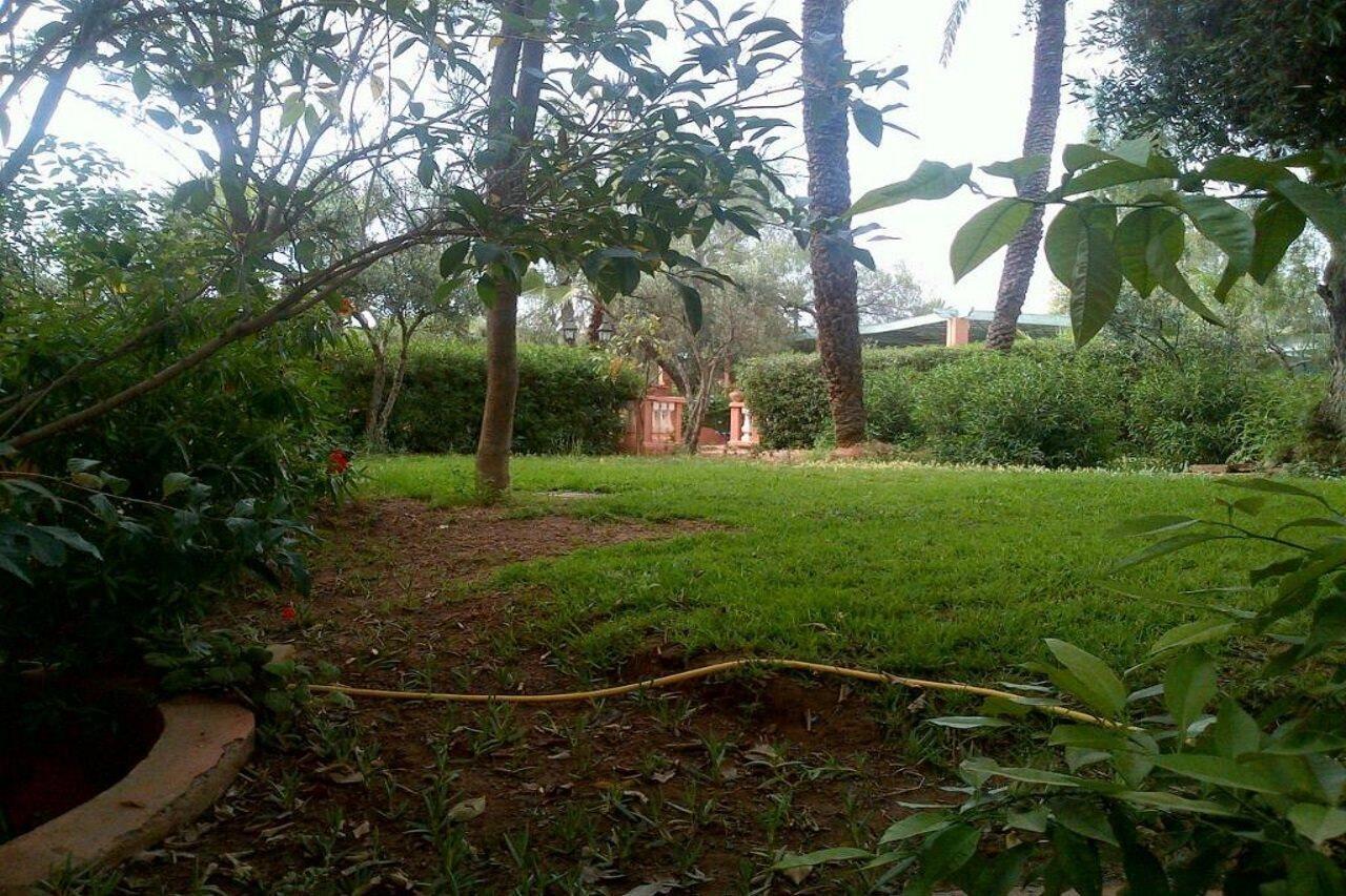Resort In Club Palmeraie