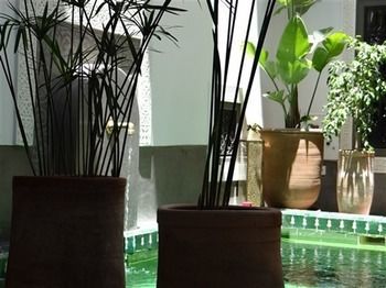 Riad Jardin Des Sens & Marrakesh
