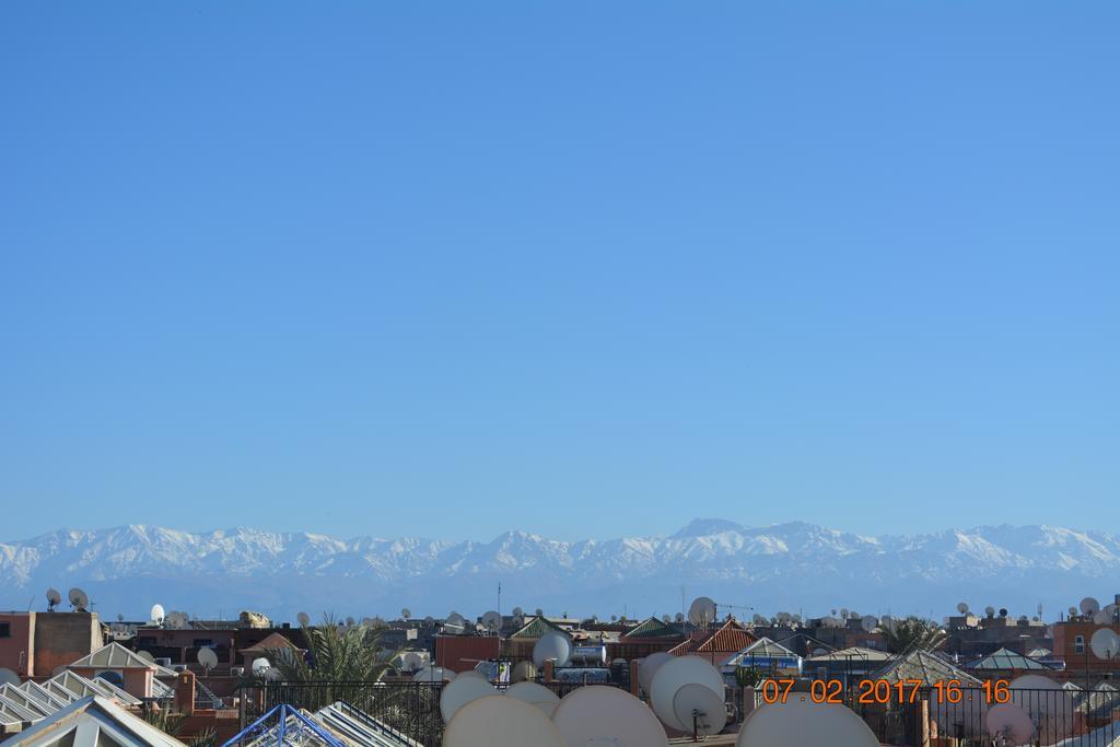 Galya Marrakesh