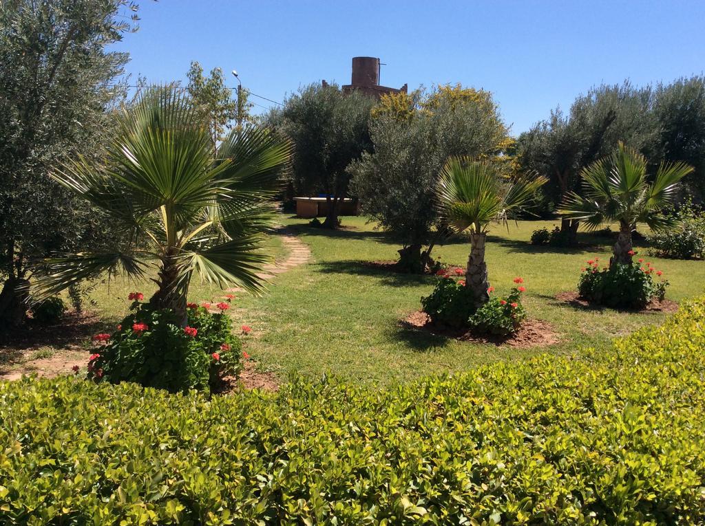 Tycoz Marrakesch