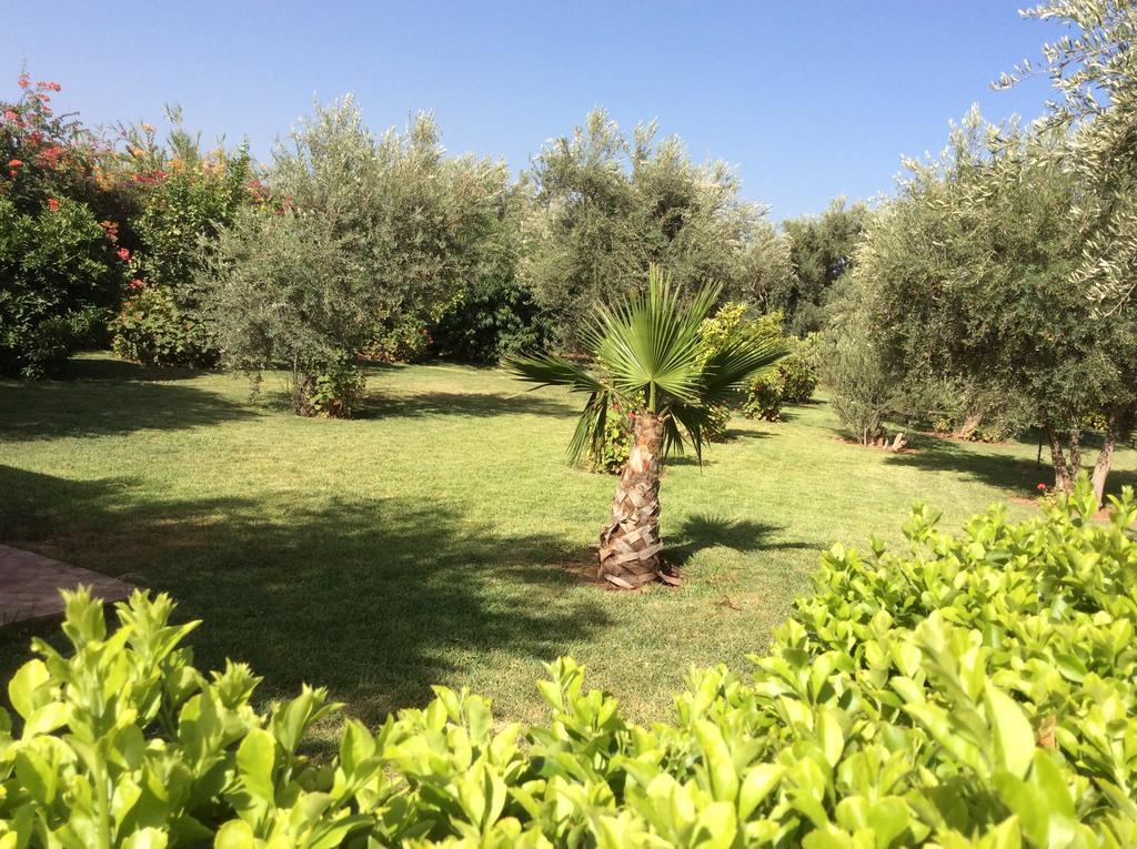 Tycoz Villa Marrakesch