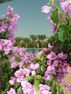 Domaine Tarik Apartment Marrakesch
