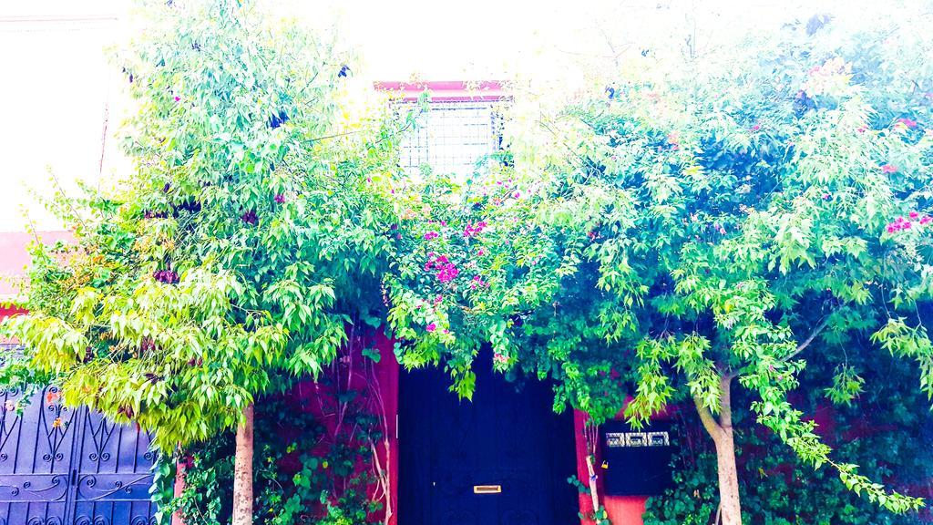 Accommodatie bij particulieren Annakhil Marrakesh