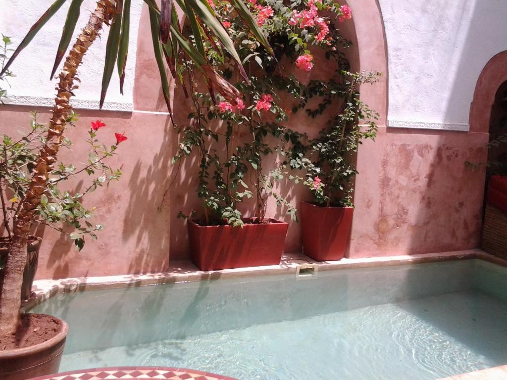 Dar Ganou Marrakesch