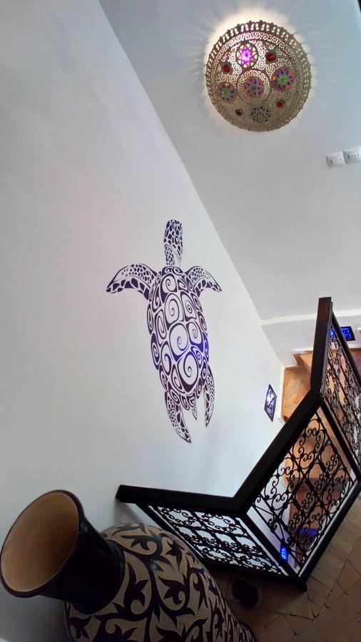 La Tortue Bleue Couette-café