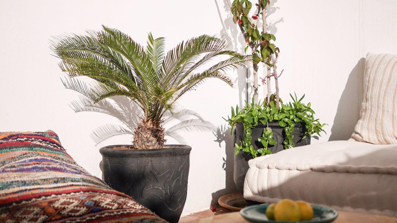 Hostel Boho 27 Marrakech *