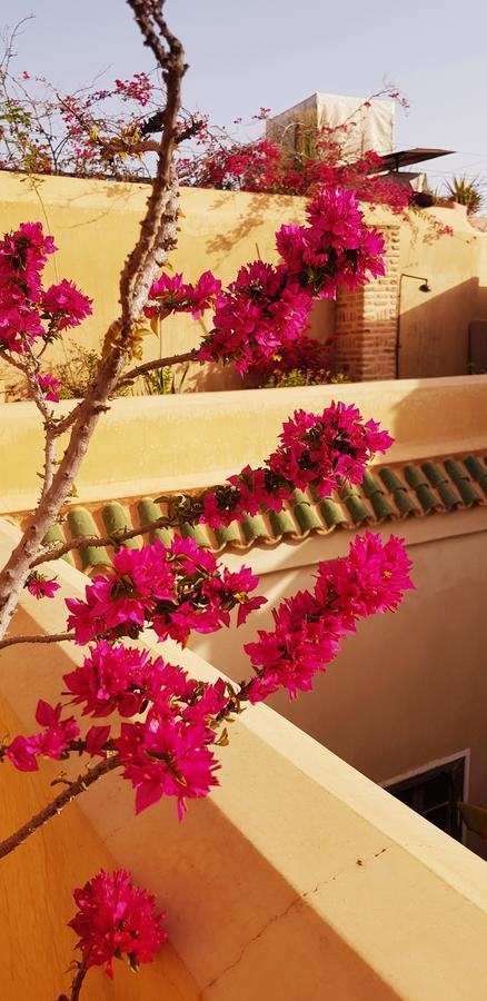 Riad Bamileke 3*