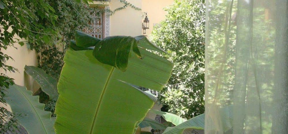 Harmonie Marrakesch