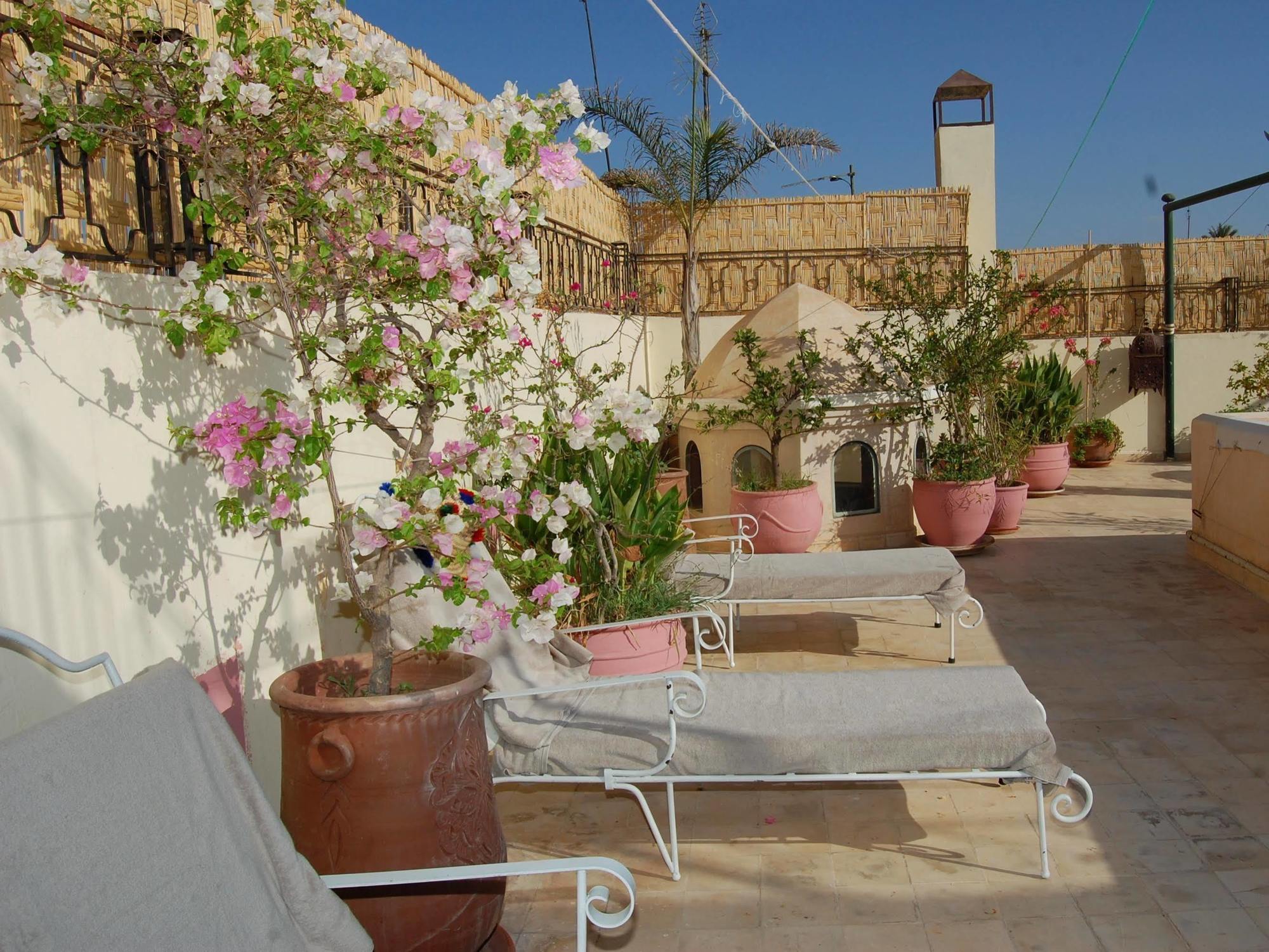 Agathe & Riad