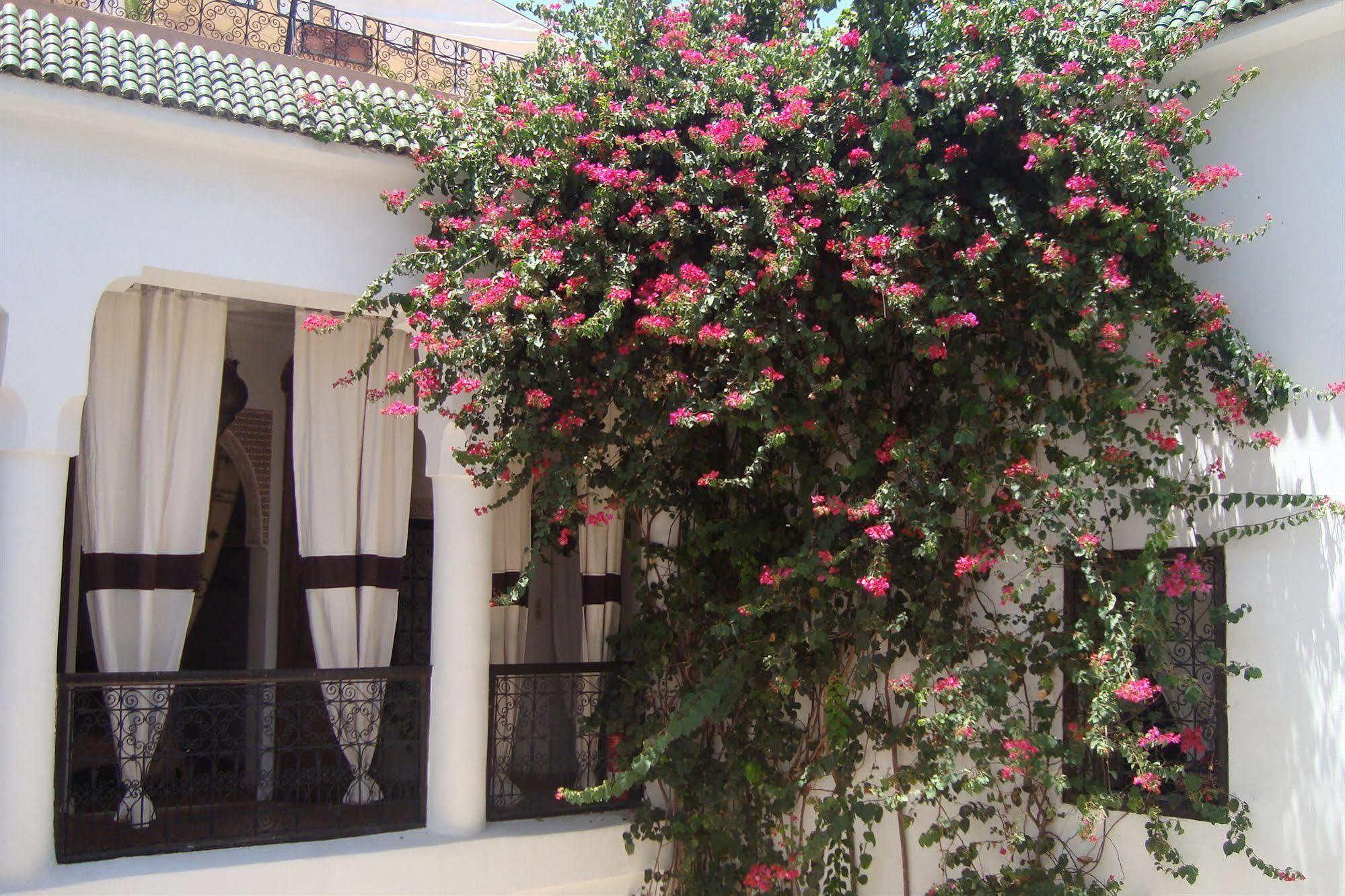 Riad Noor Charana 3*