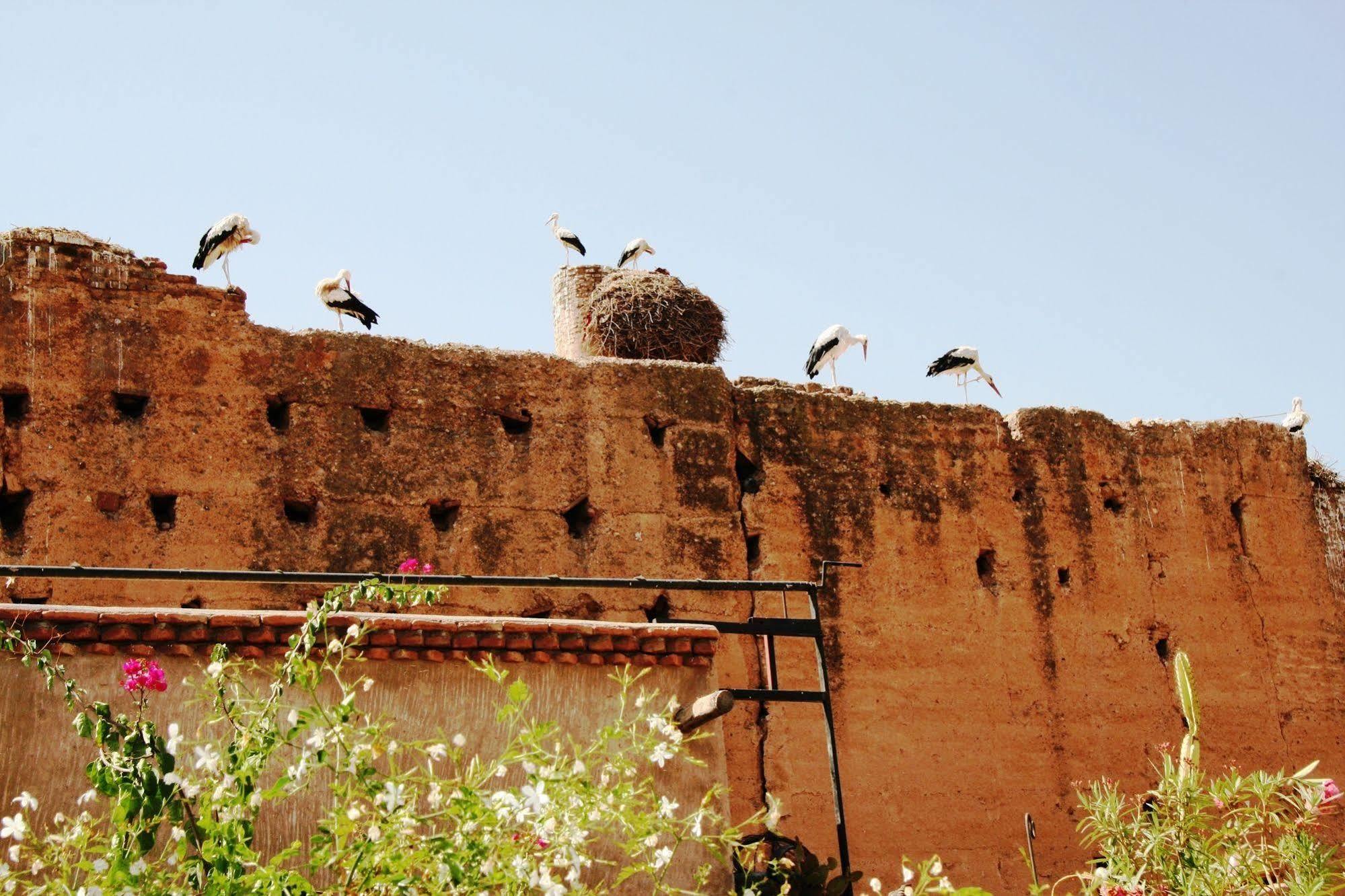 Riad Riad Carina Marrakesh