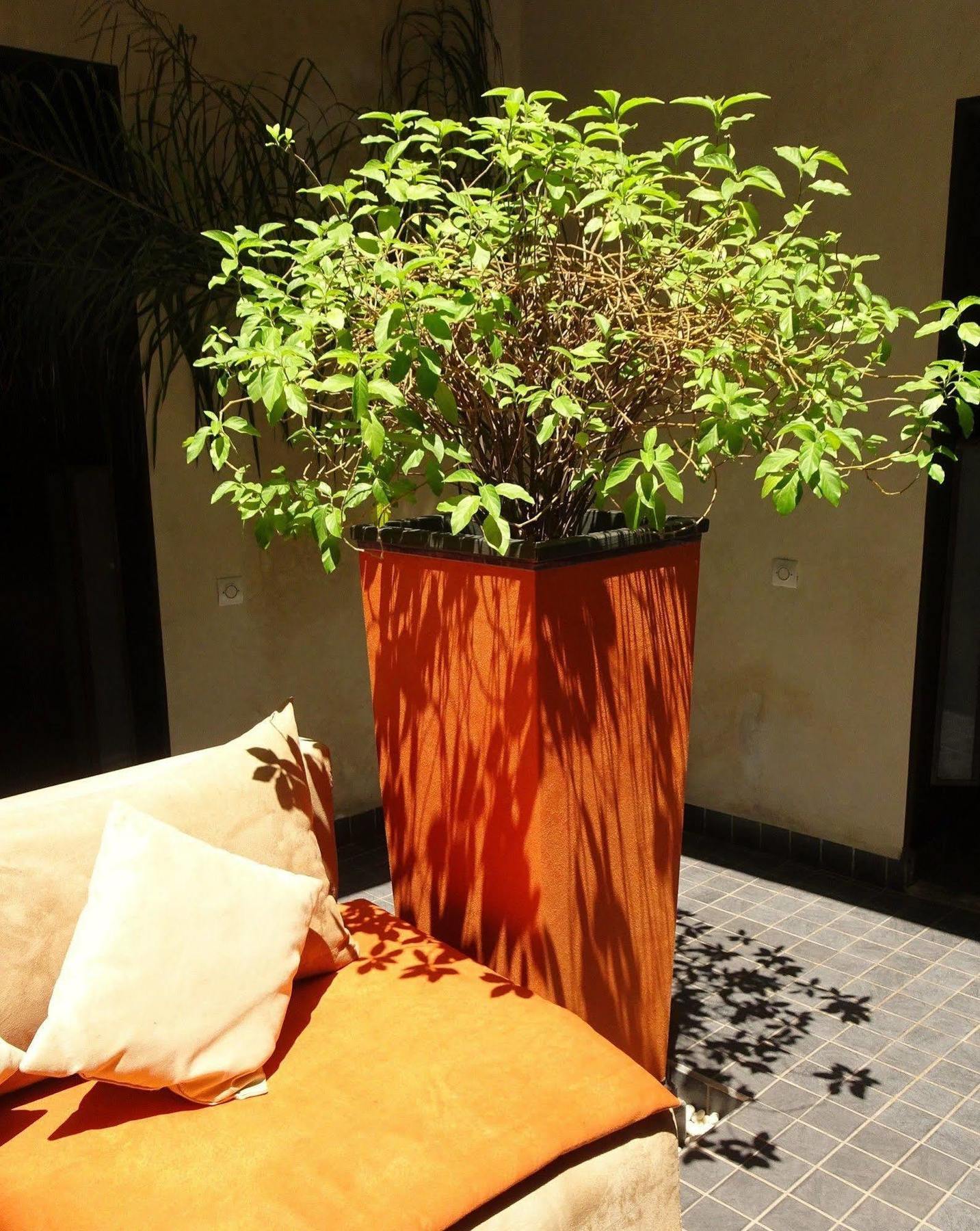 Pierres Et Saveurs Soleil Riad