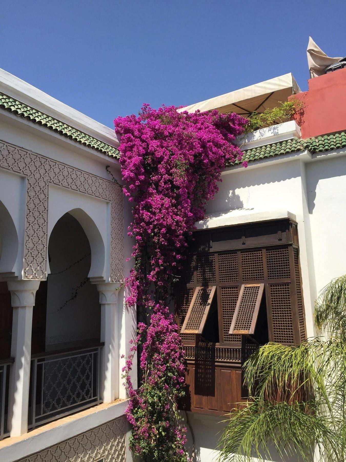 Yasmine Riad Marrakesh