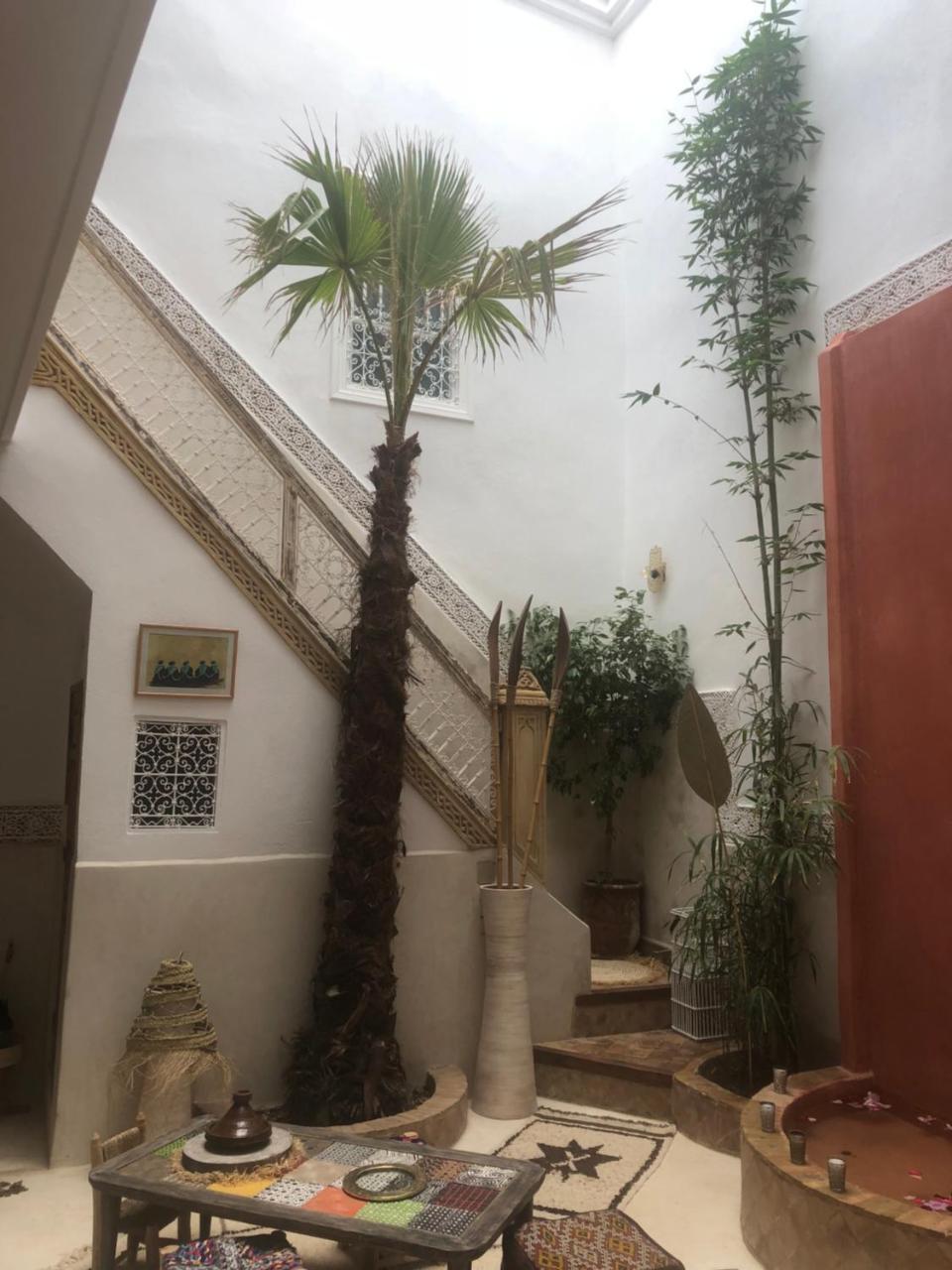 Dar Zioui, Bynour Riad