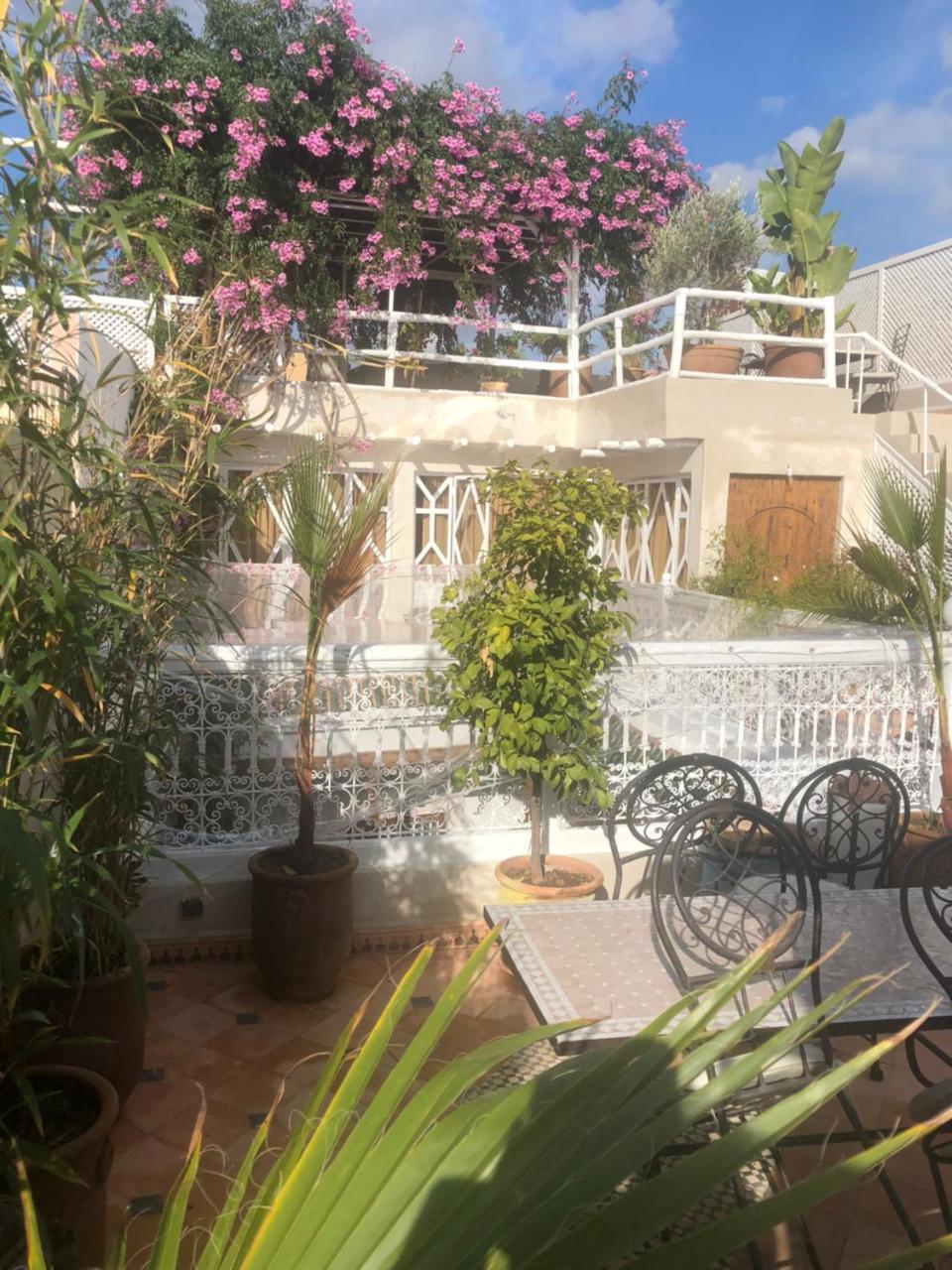 Dar Zioui, Bynour Riad