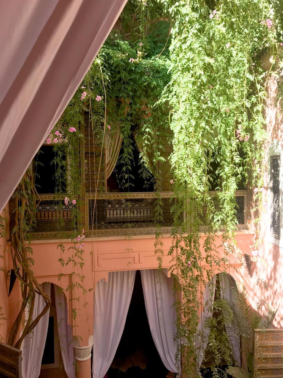 Bed & Breakfast The Bohemian Jungle *