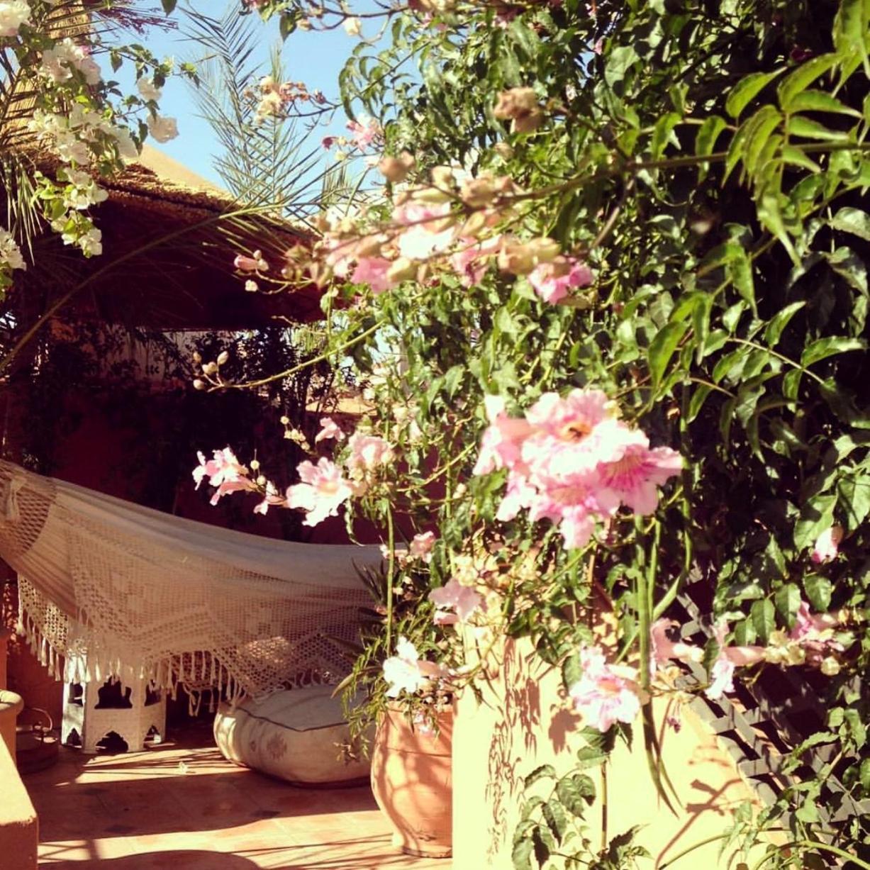Bed and breakfast The Bohemian Jungle *