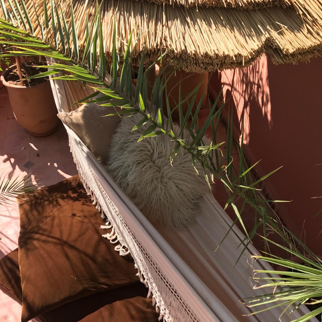 Bed & Breakfast The Bohemian Jungle Marrakesh