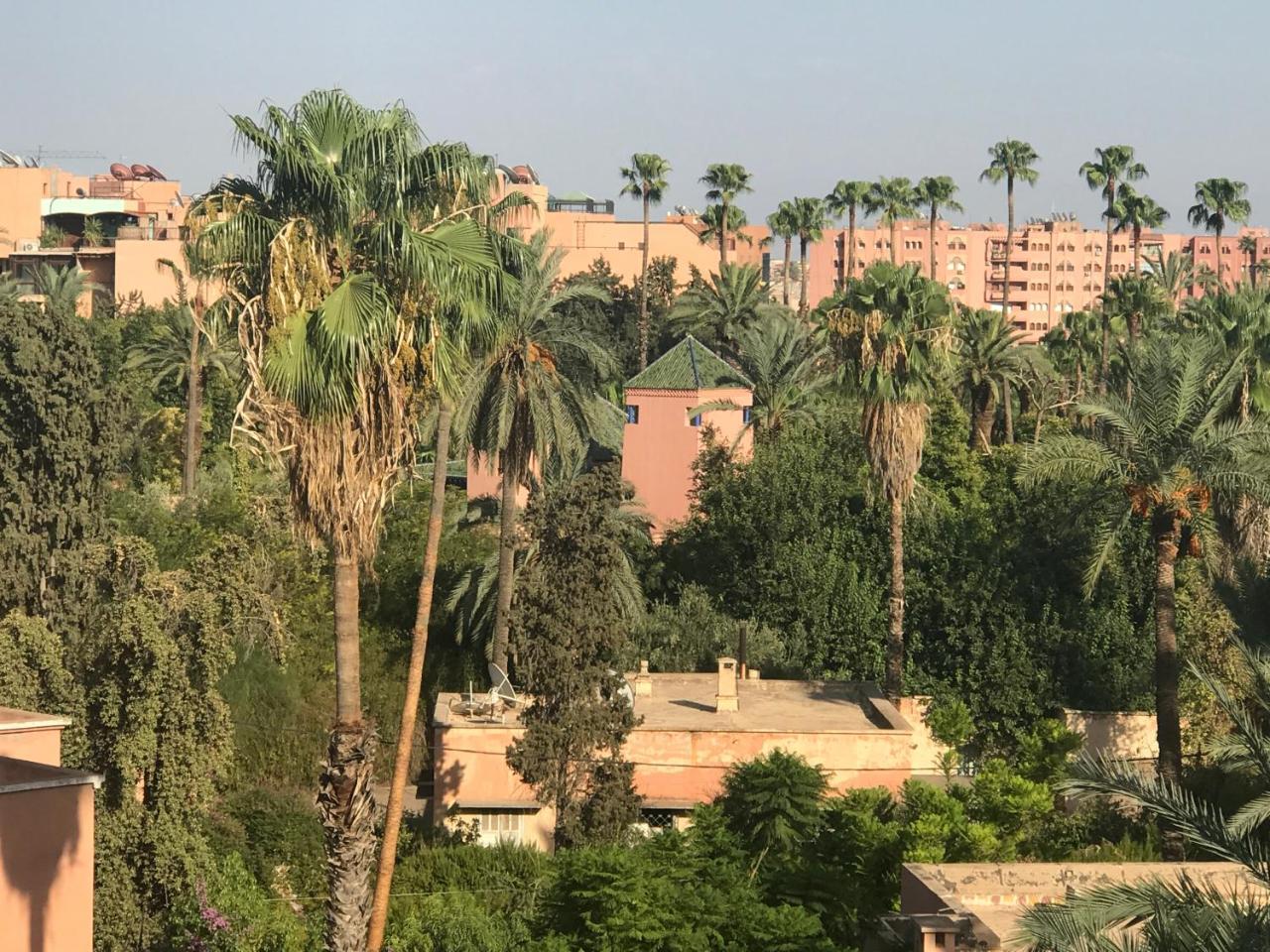 Anas Majorelle Apartment