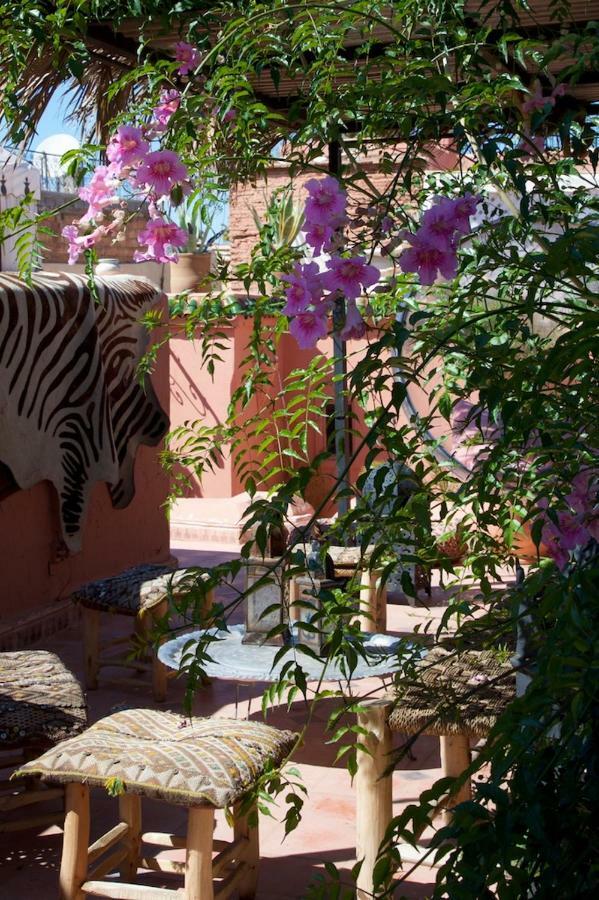 Bed and breakfast The Bohemian Jungle *
