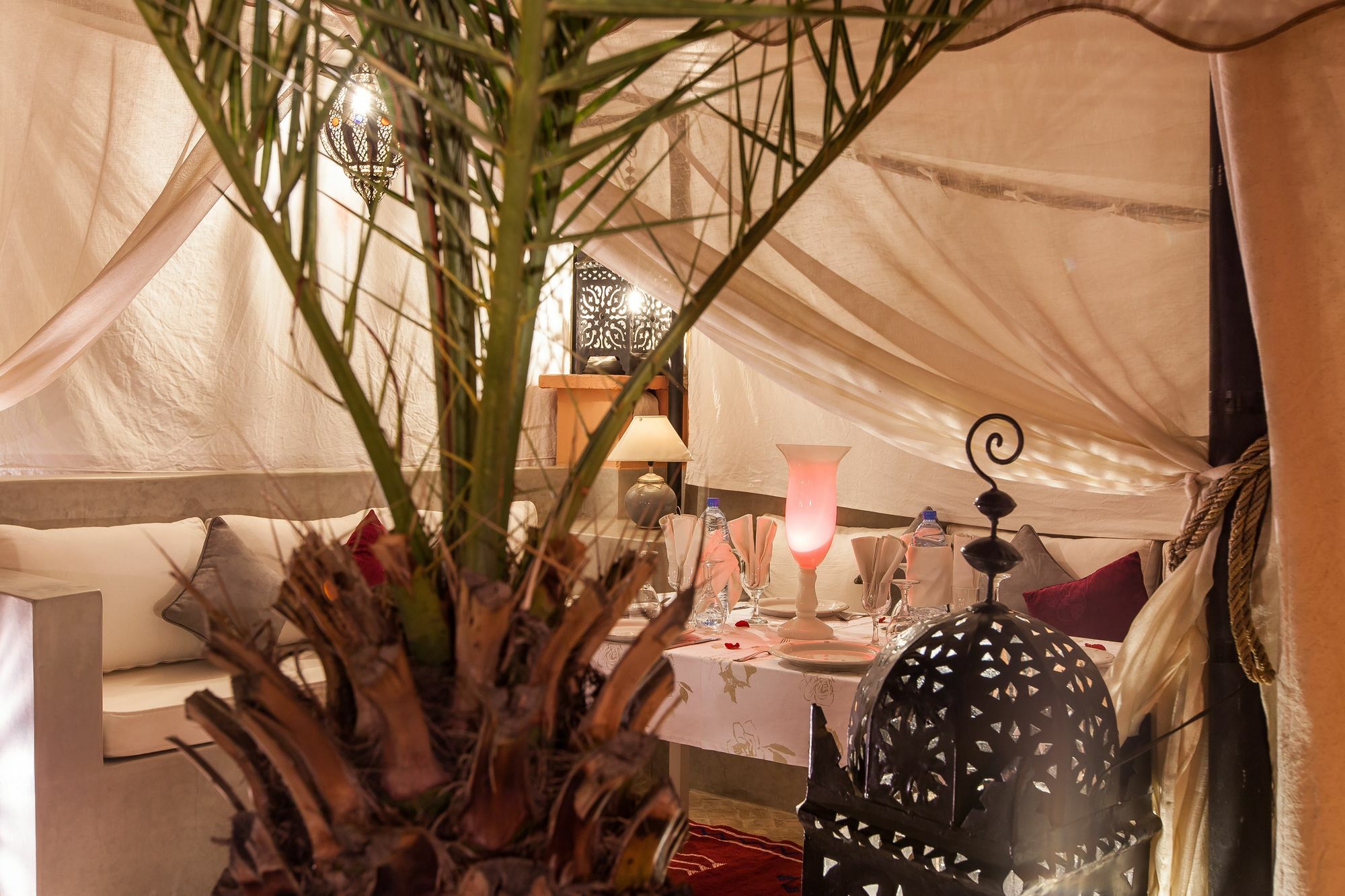Shemsi Marrakesh