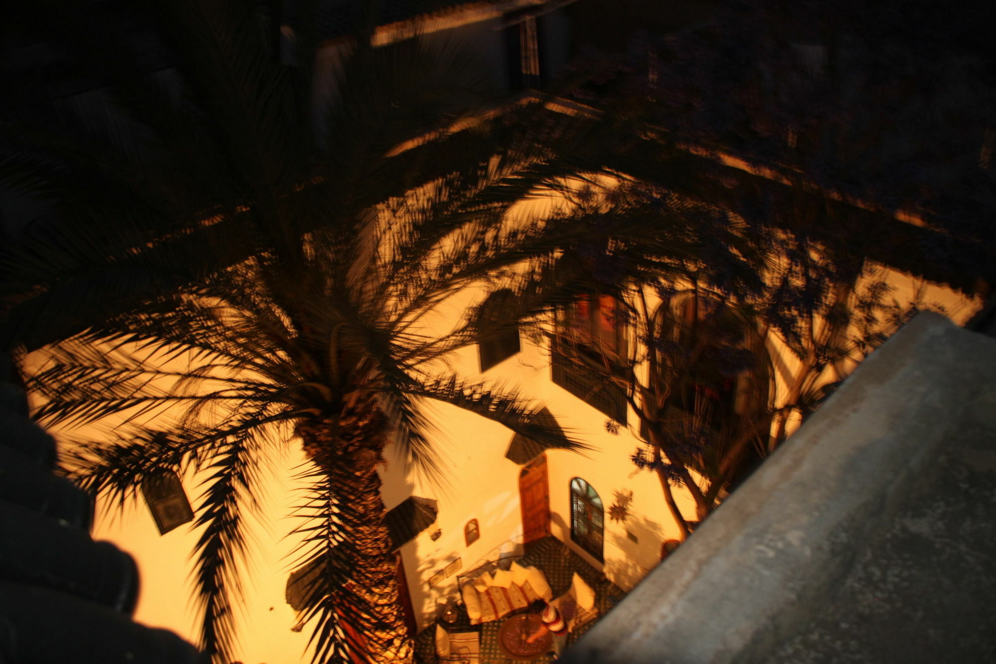 Riad O Ly