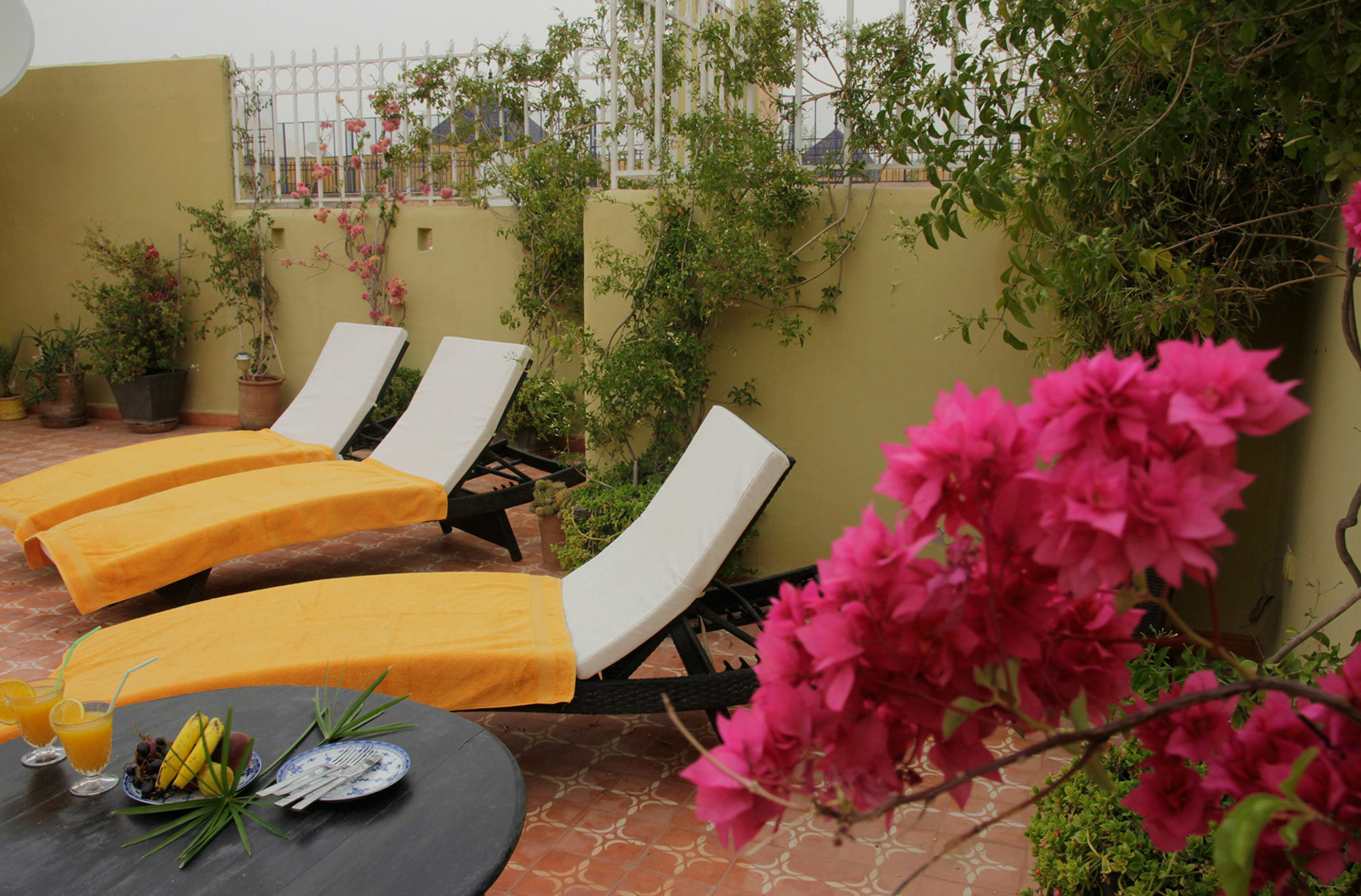 Miliana Marrakesh