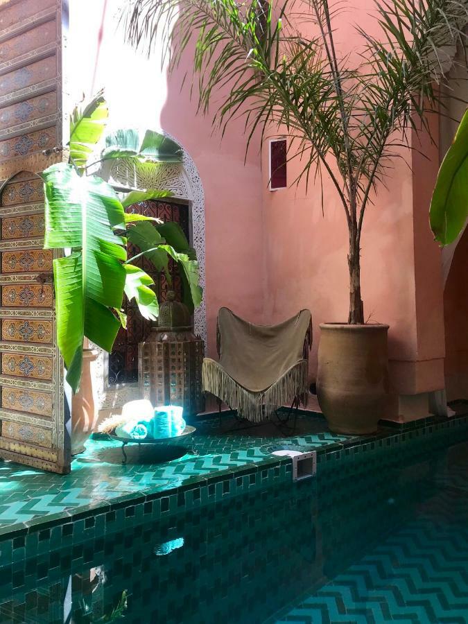 Bed & Breakfast The Bohemian Jungle *