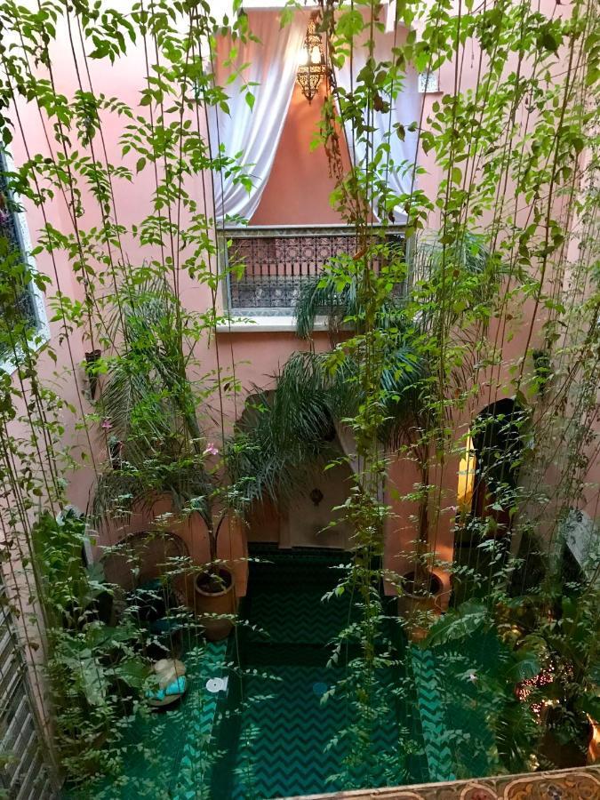 The Bohemian Jungle Bed & Breakfast *