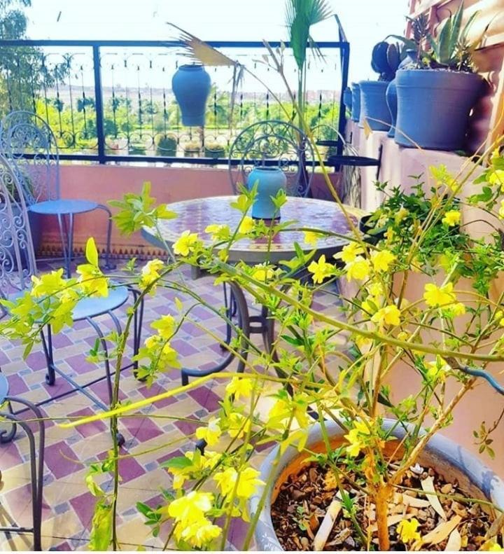 Hostel Maison Ksiba *